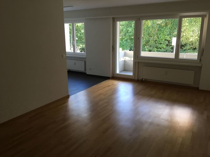 Neu sanierte ruhige Wohnung im 2. OG (6)