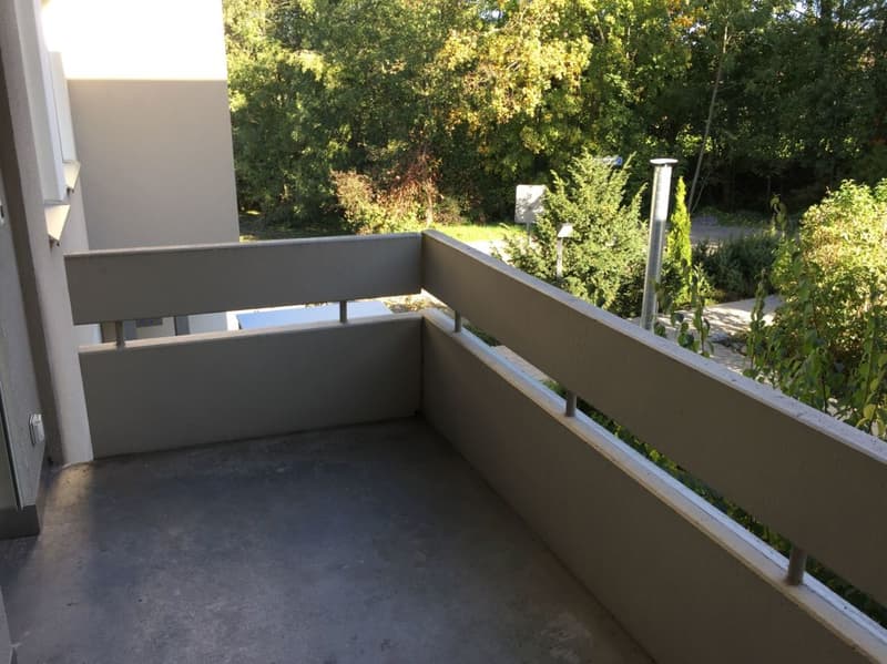 Neu sanierte ruhige Wohnung im 2. OG (7)