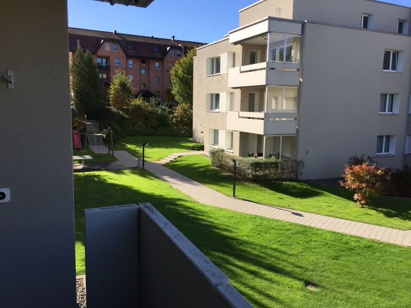 Sonnige, neu renovierte Wohnung (3)
