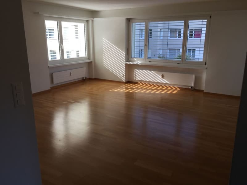 Sonnige, neu renovierte Wohnung (5)