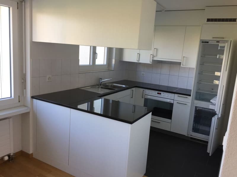 Sonnige, neu renovierte Wohnung (9)