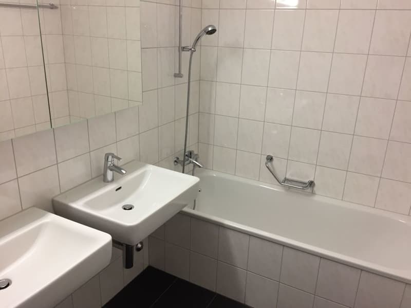 Sonnige, neu renovierte Wohnung (10)