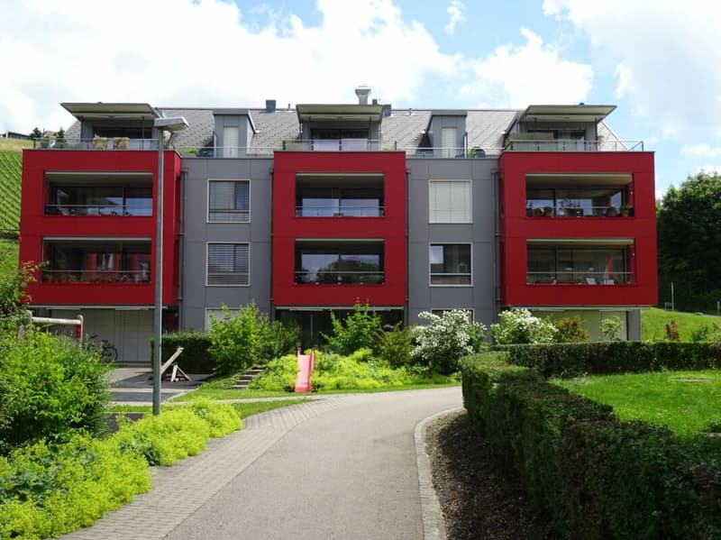 Moderne 2 Zimmerwohnung (2)