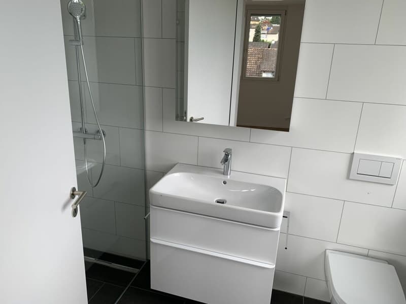 3,5 Zimmer-Wohnung - Nachmieter gesucht (6)