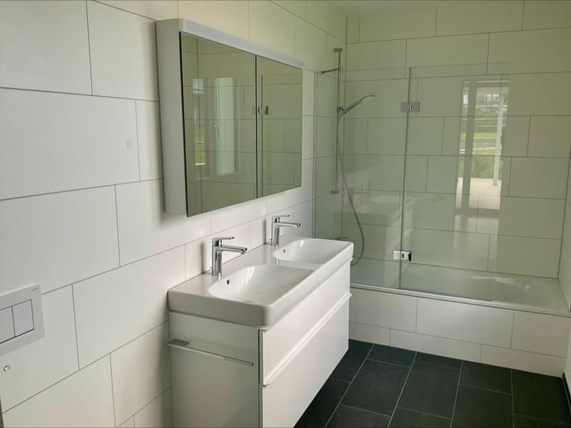 3.5-Zimmer-Wohnung (12)