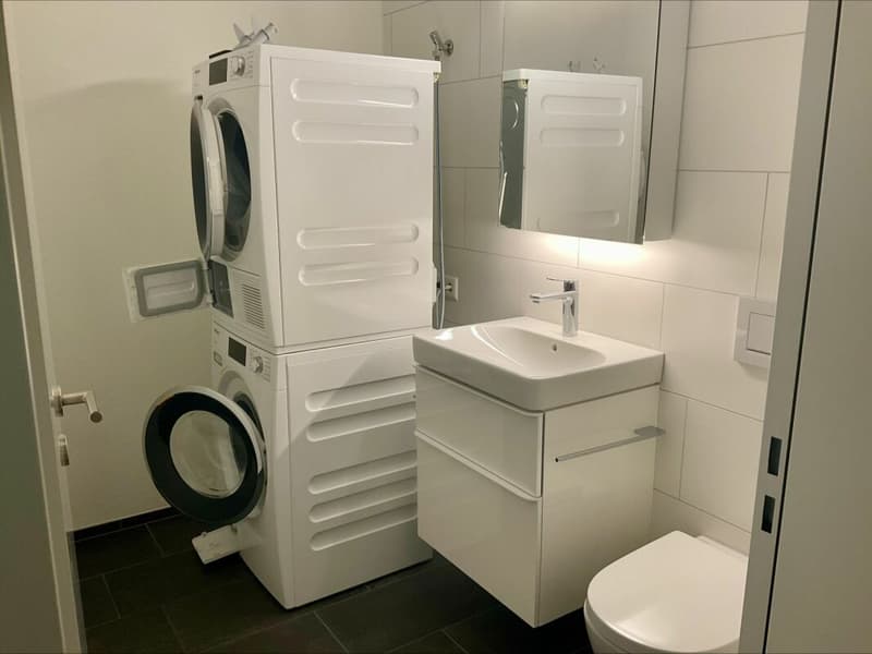 3.5-Zimmer-Wohnung (13)