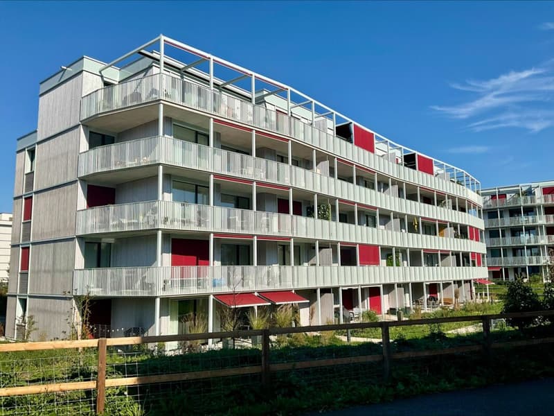 3.5-Zimmer-Wohnung (2)