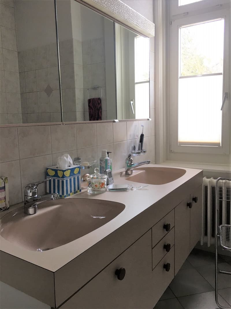 Attraktive 3 1/2 Zi. Wohnung mit verglastem Balkon (8)