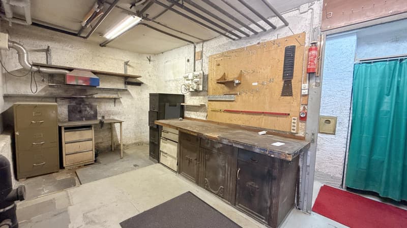 Spannendes Zweifamilienhaus mit 4 Garagenplätzen - Preis bankengeprüft! (17)