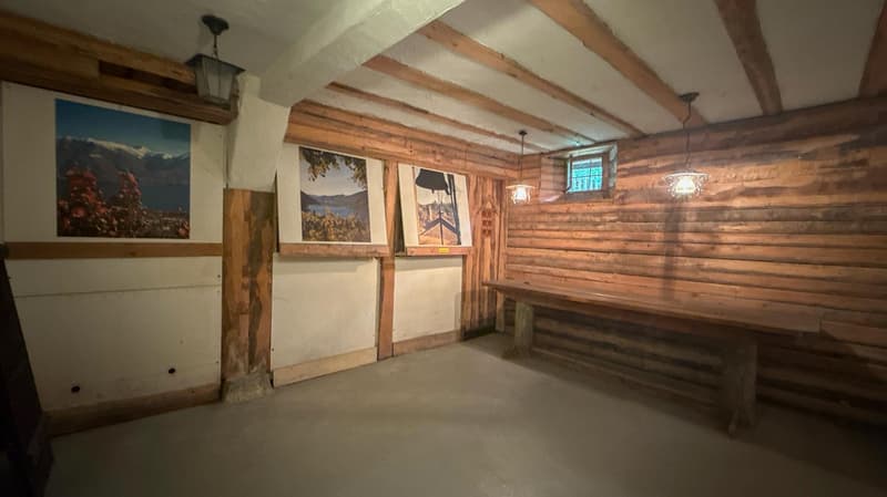 Spannendes Zweifamilienhaus mit 4 Garagenplätzen - Preis bankengeprüft! (15)