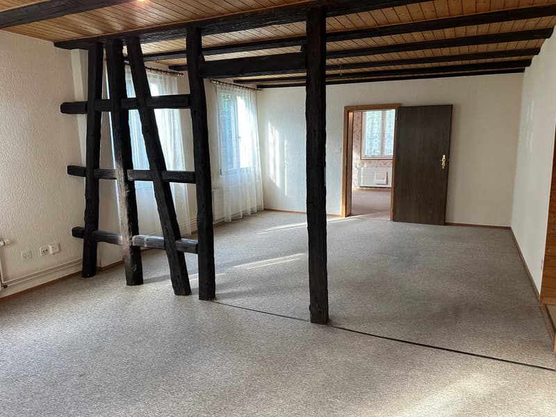 Spannendes Zweifamilienhaus mit 4 Garagenplätzen - Preis bankengeprüft! (21)