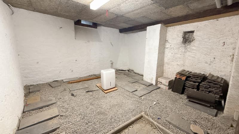 Spannendes Zweifamilienhaus mit 4 Garagenplätzen - Preis bankengeprüft! (18)