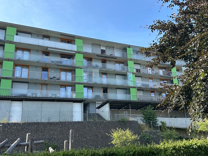 Attraktive 4 1/2 Zi. Stadtwhg.mit 2 Balkons & Weitsicht (10)