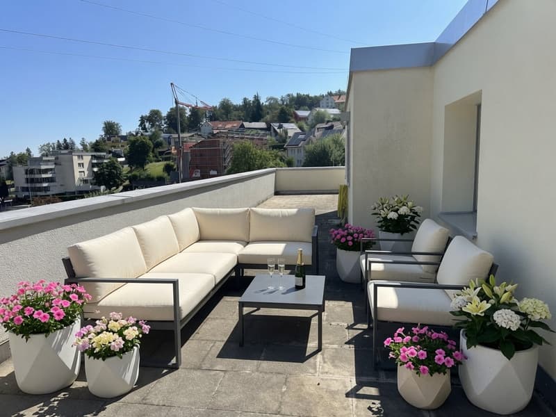 Schicke 2½-Zi.-Attika mit grosser Terrasse & Weitsicht in Grub AR (4)