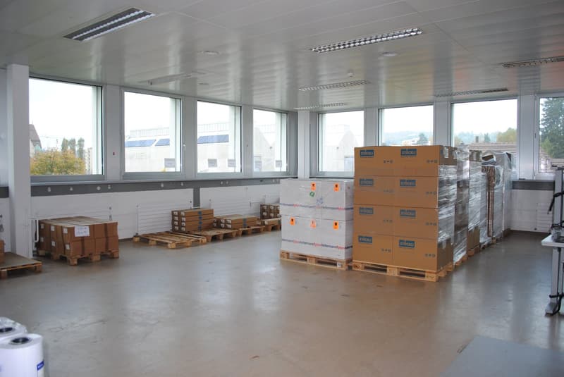 512 m2 Atelier / Büro / Produktionsfläche / Werkstatt  in SG-Ost (2)