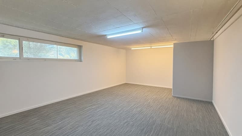 Studio / Hobbyraum in St.Gallen (2)