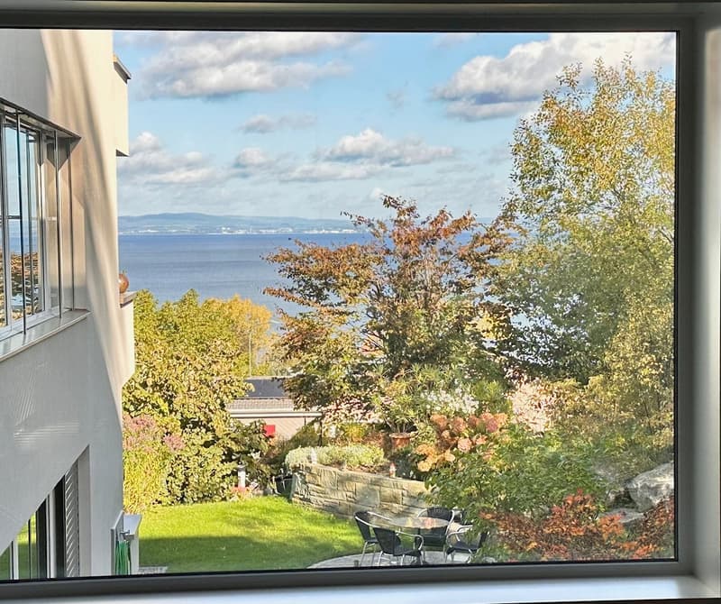Attraktive 3½-Zimmer-Gartenwohnung mit SEE Sicht (1)