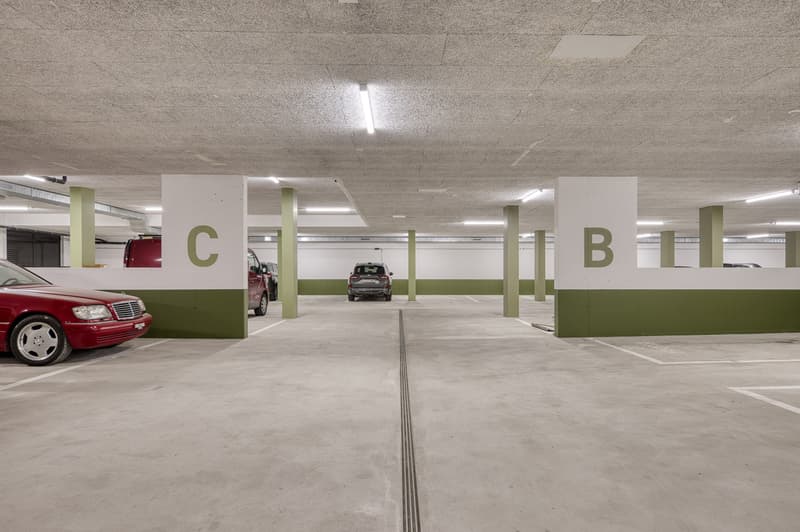 Moderne Parkplätze & Disponibel-Räume zu vermieten (3)