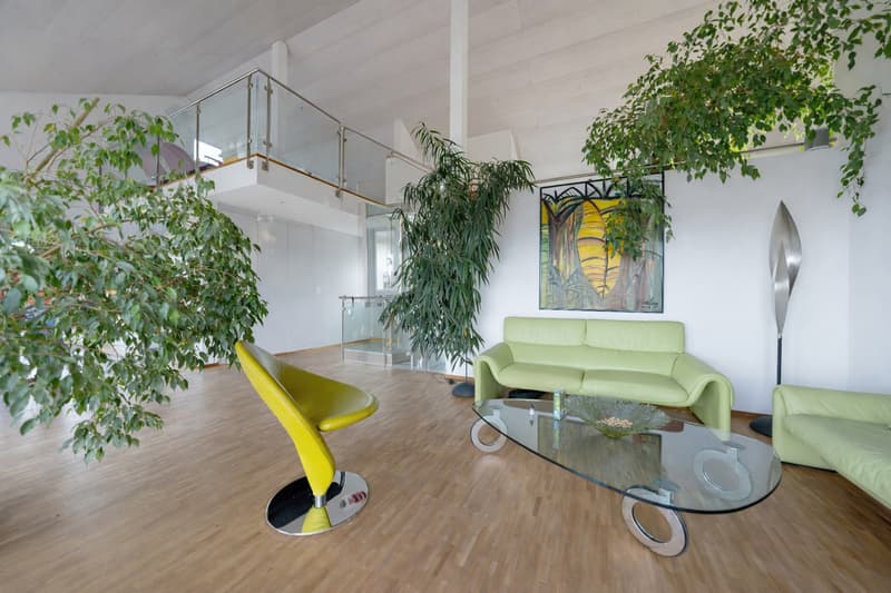 7.5-Zimmer-Einfamilienhaus mit fantastischer Seesicht in Feusisberg (1)