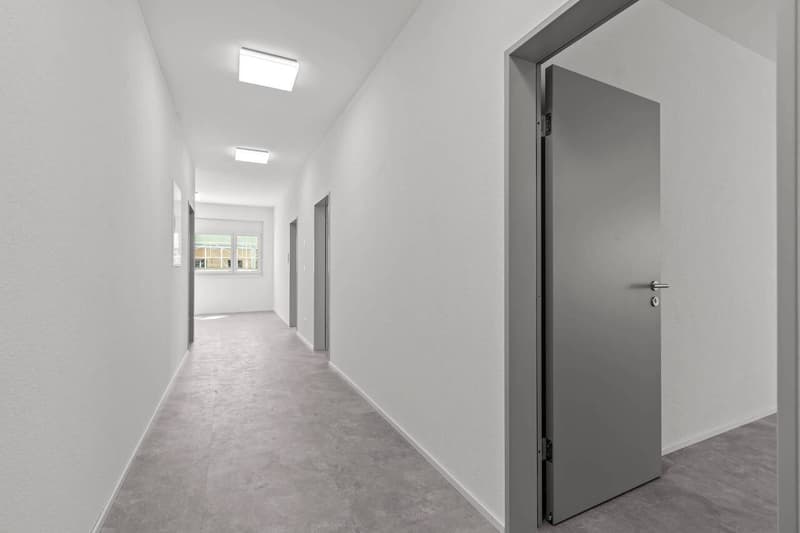 Erstvermietung - Exklusives 3-Zimmer-Büro (1)