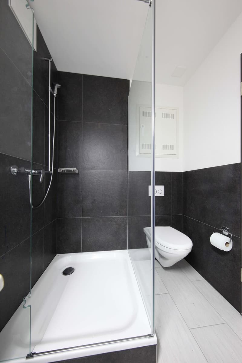 Dusche, WC, Lavabo, WM und TU