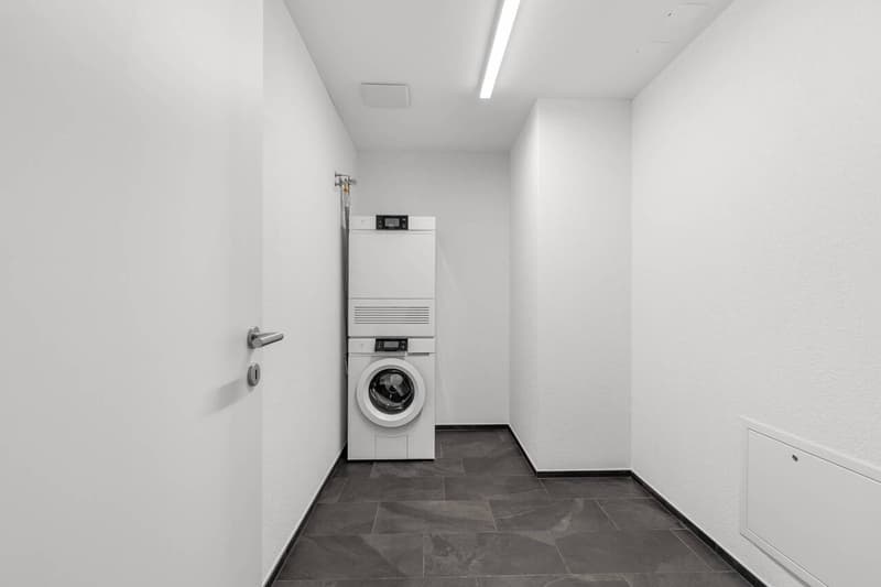Erstvermietung - Exklusive 4.5-Zi-Neubauwohnungen im schönen Tuggen SZ (6)