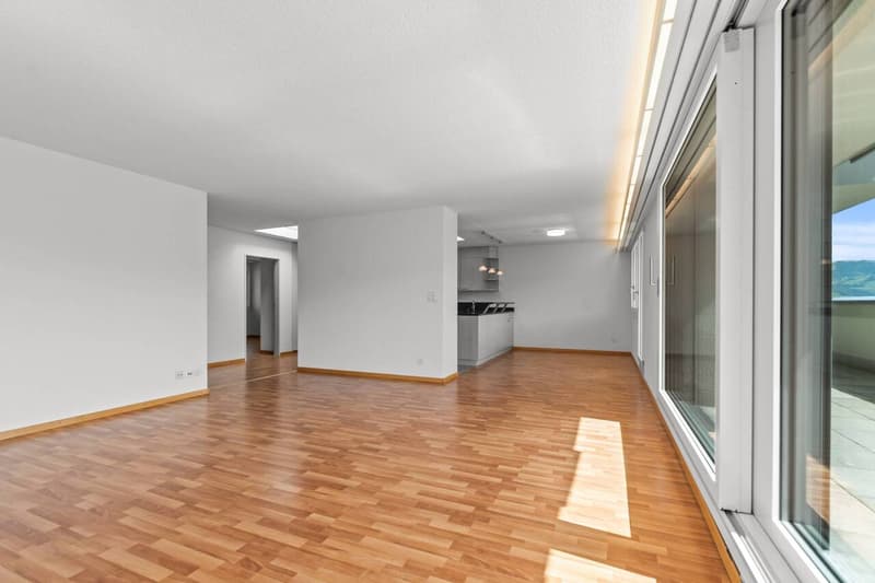 Grosszügige 5.5-Zimmer-Attikawohnung mit 72 m² Terrasse und Weitblick (5)