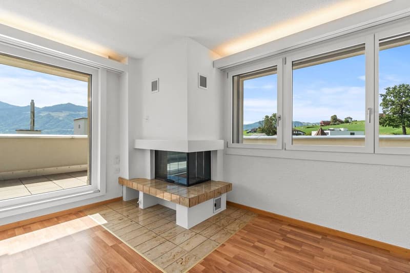 Grosszügige 5.5-Zimmer-Attikawohnung mit 72 m² Terrasse und Weitblick (4)