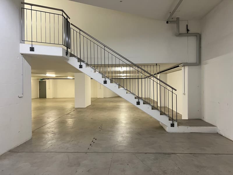 Modern and representative commercial building (3)