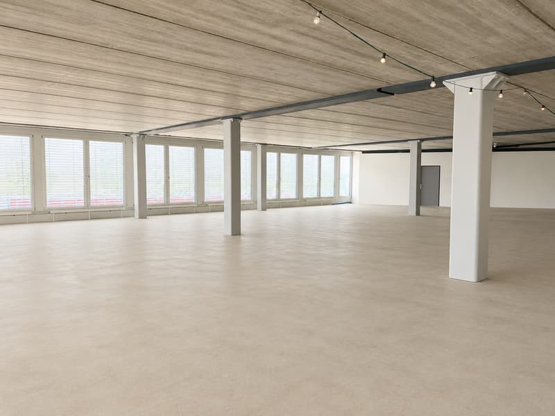 Individuell planbare Büroflächen in verkehrsgünstiger Lage (4)