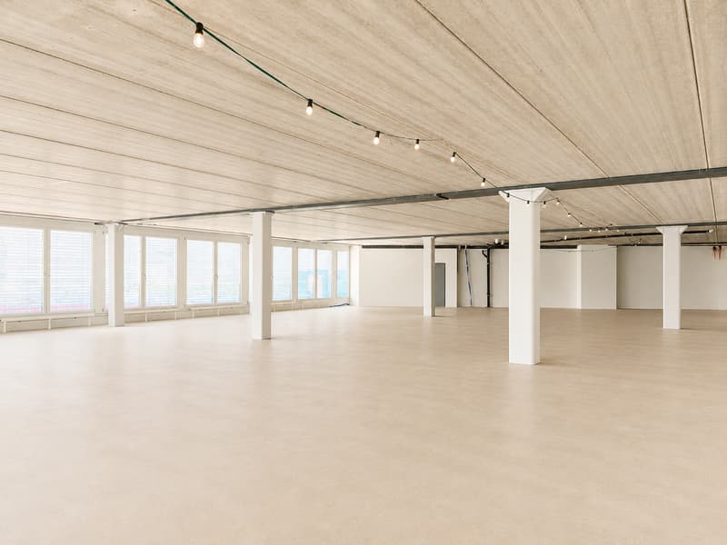 Individuell planbare Büroflächen in verkehrsgünstiger Lage (5)