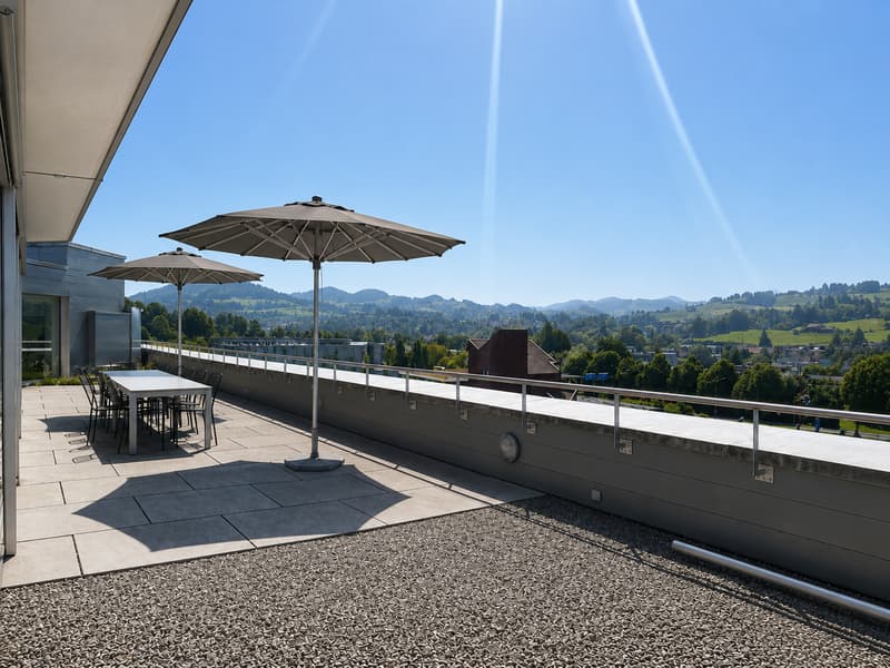 Exklusives Attikabüro mit Aussicht und Persönlichkeit (8)