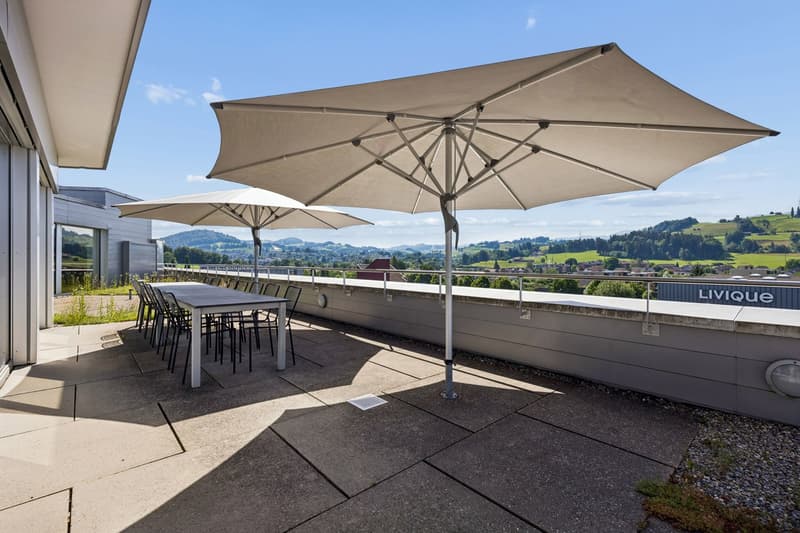 Exklusives Attikabüro mit Aussicht und Persönlichkeit (6)