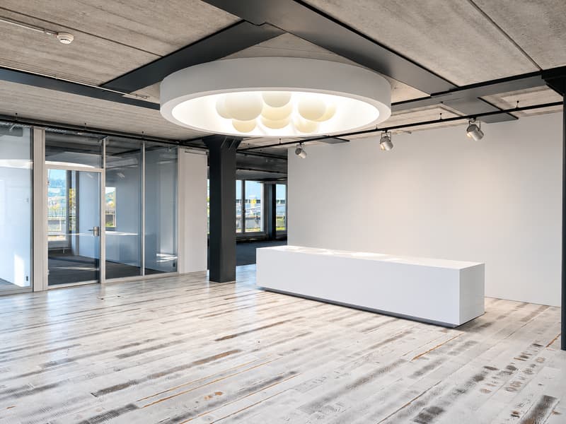 Exklusives Attikabüro mit Aussicht und Persönlichkeit (3)