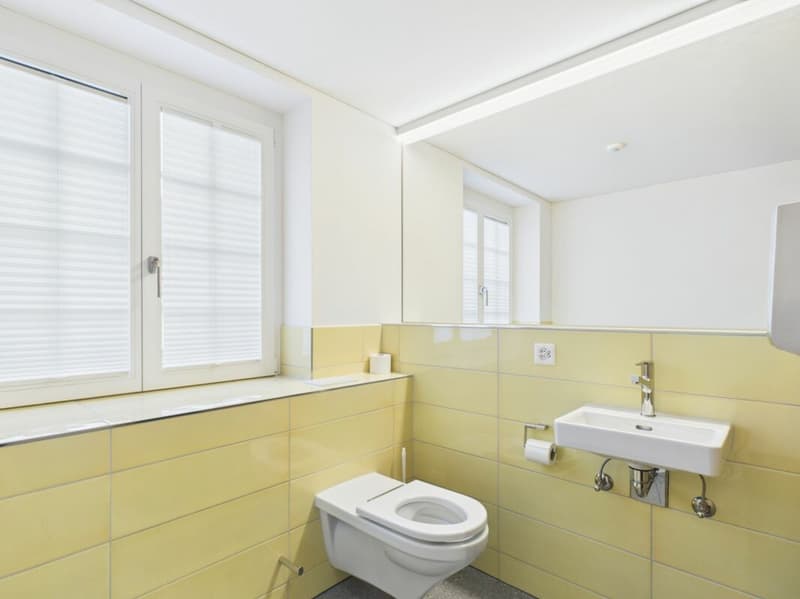 Büro, Atelier oder Praxis (7)