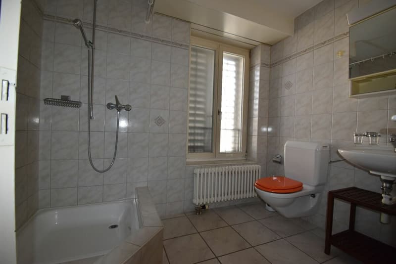 Appartement mansardé confortable avec balcon / centre de Neuhausen (8)