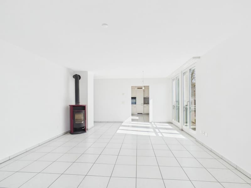 Appartement ensoleillé avec charme (3)