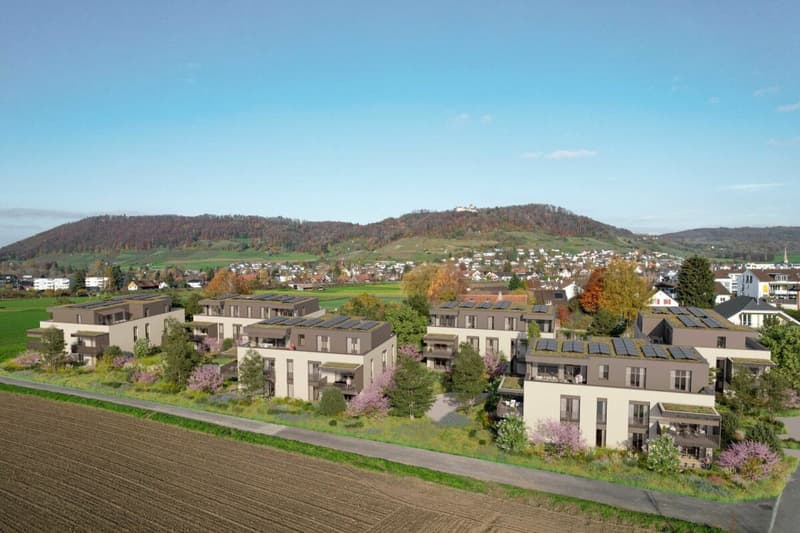 Charmante 3.5-Zimmer Neubauwohnung in Stein am Rhein (4)