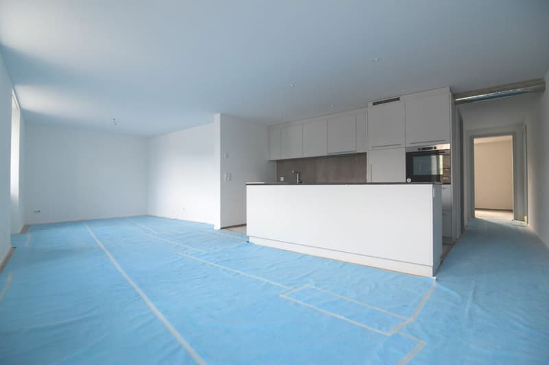 Wunderschöne Wohnung in der Nähe vom Rhein (3)