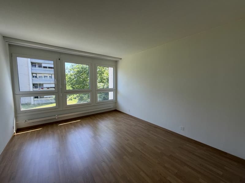 4.5 ZWG im 1.OG in Laufen (7)