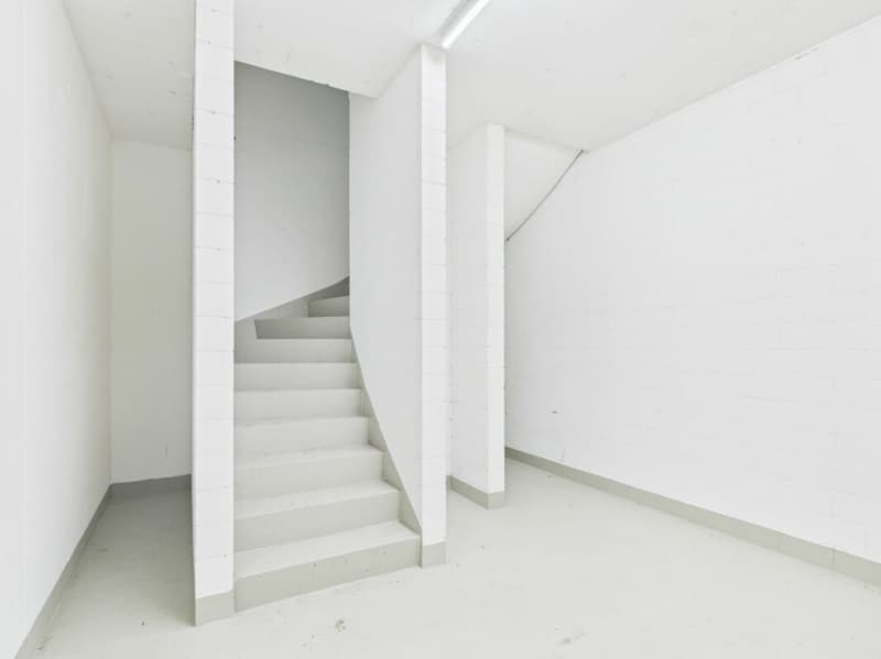 Reihen-Einfamilienhaus 6.5-Zimmer (13)