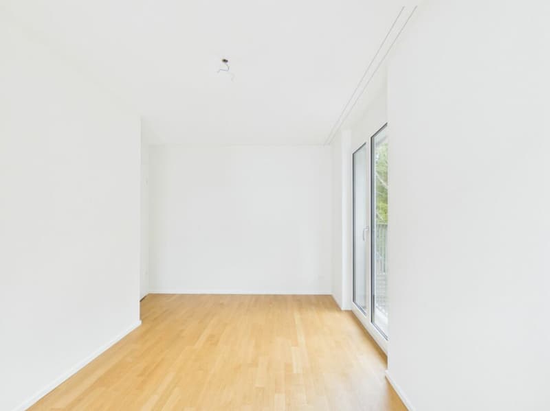Reihen-Einfamilienhaus 6.5-Zimmer (5)