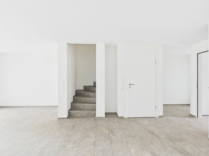Reihen-Einfamilienhaus 6.5-Zimmer (9)