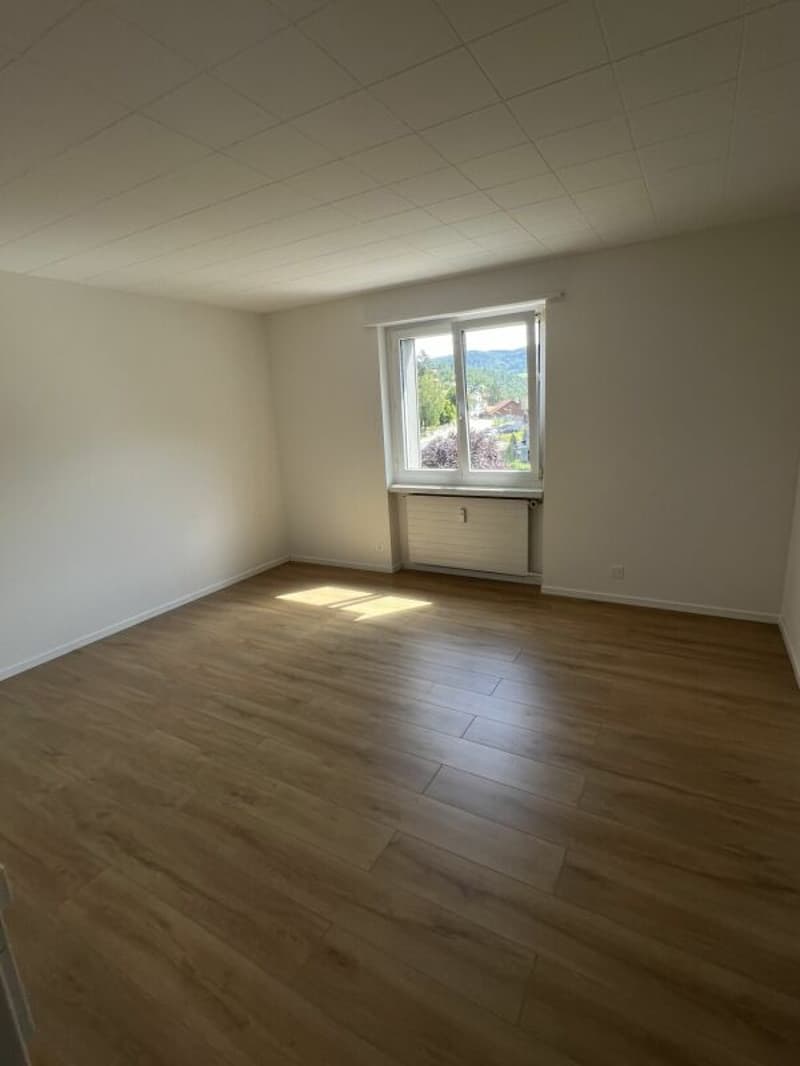4.5 ZWG im 3.OG in Grellingen (6)