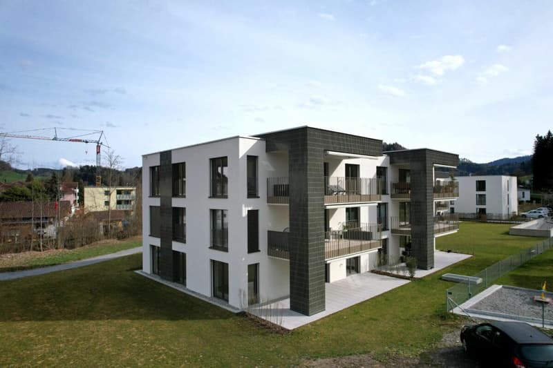 Neue 4.5-Zimmer Erdgeschoss Wohnung (C2) (2)
