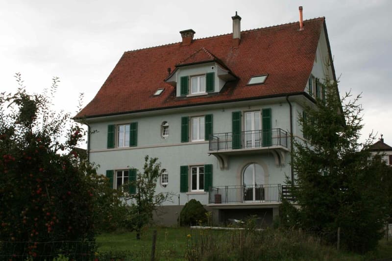 Wunderschöne 4.5-Zimmer-Altbau-Wohnung (11)