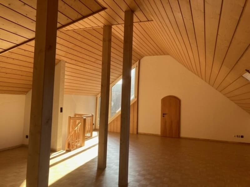 Attraktive & Exklusive 6.5-Zimmerwohnung in der Altstadt (11)