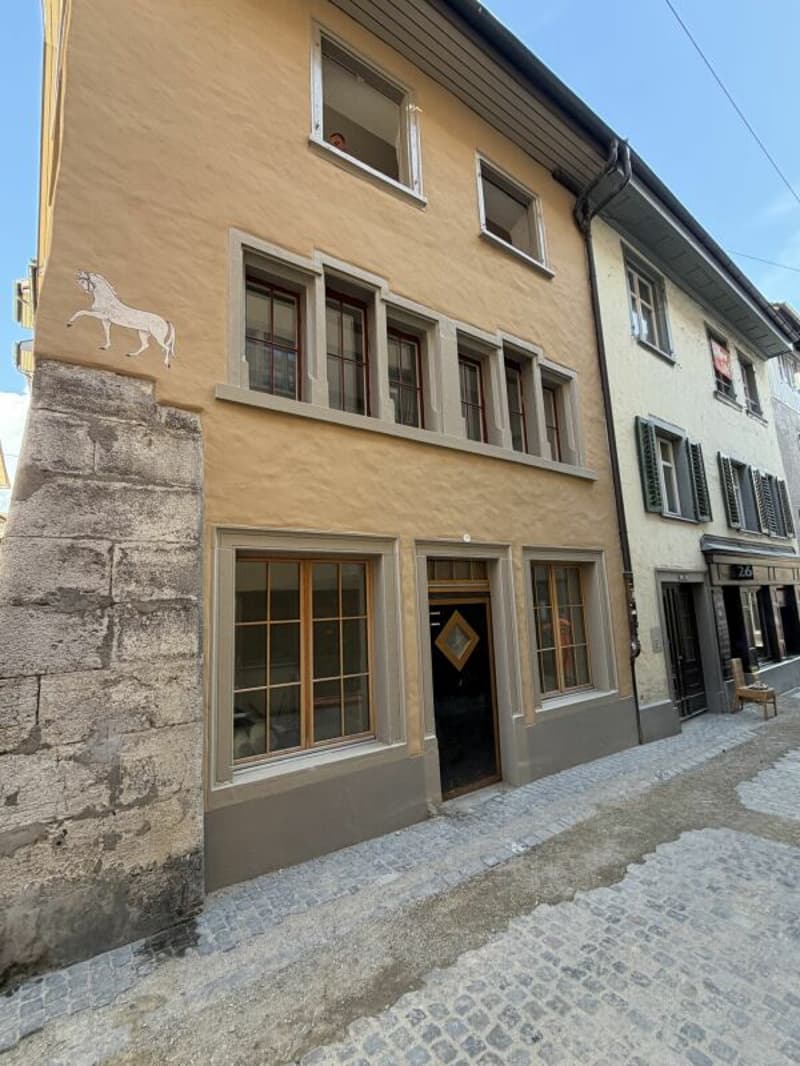 Neuvermietung nach Sanierung / 1.5-Zimmerwohnung (4)