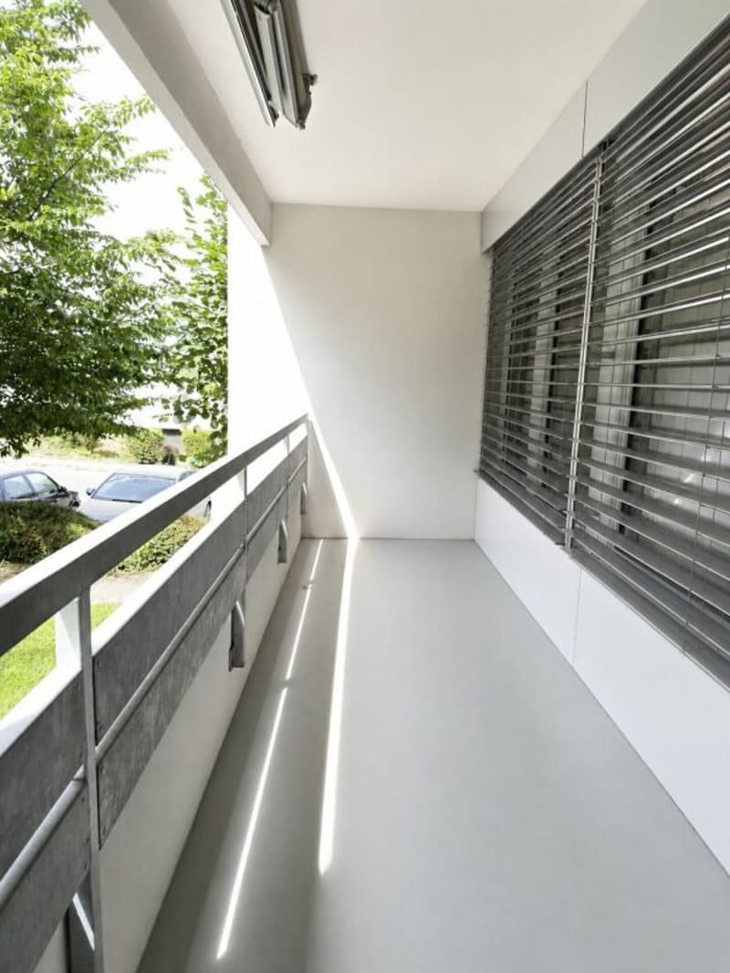 Nachmieter gesucht für 3.5 ZWG im EG in Laufen (4)