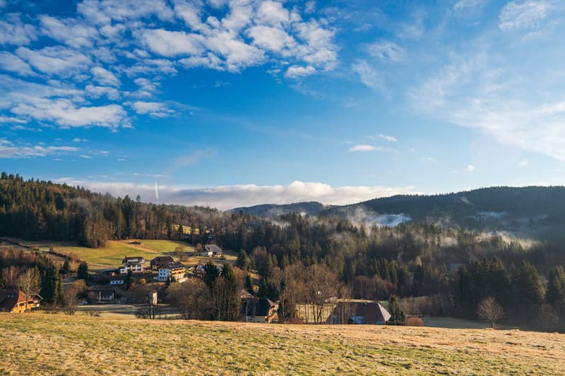 Pension Sternen - Charmantes Boutique-Hotel und Apartments inmitten von Natur und Stille in Todtmoos (45)